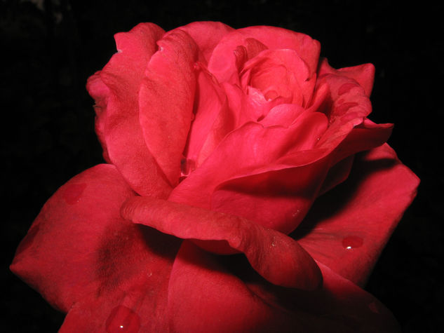 La envidia del rojo por  querer ser negro 