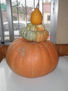 MIS CALABAZAS