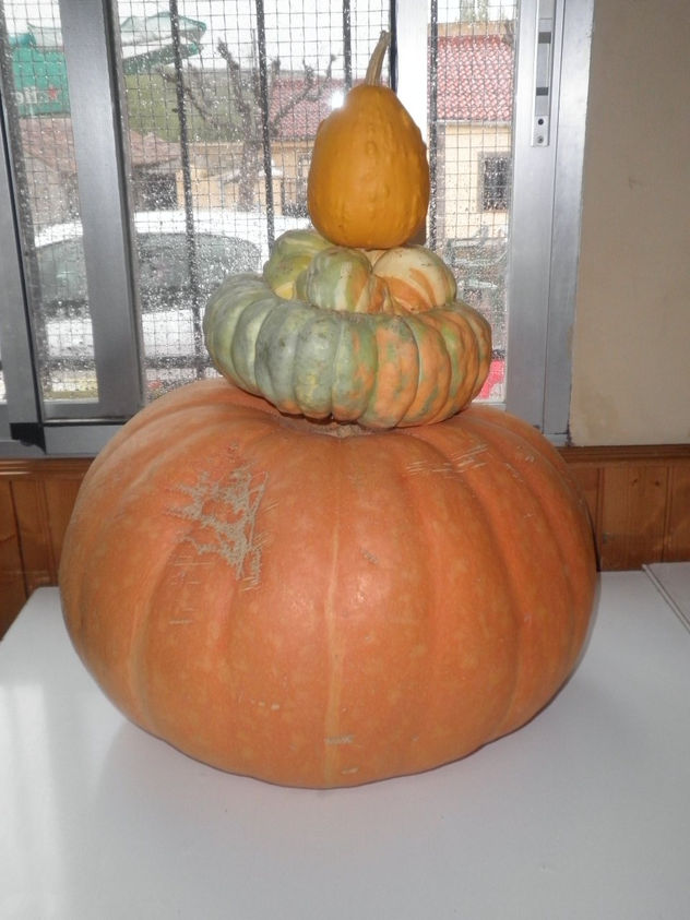 MIS CALABAZAS
