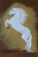 Caballo blanco Pastel Paper Animals