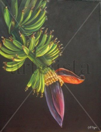 RACIMO DE PLATANOS