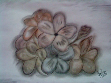 Flores...