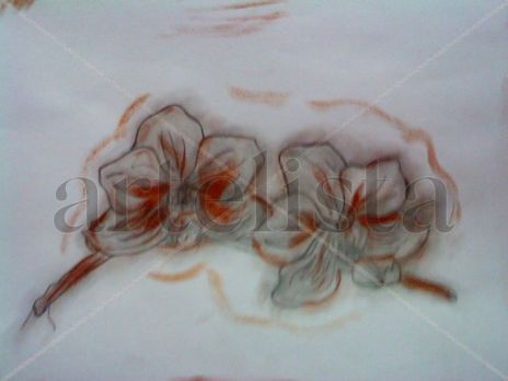 Orquideas..