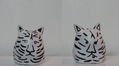 GATO-TIGRE BLANCO