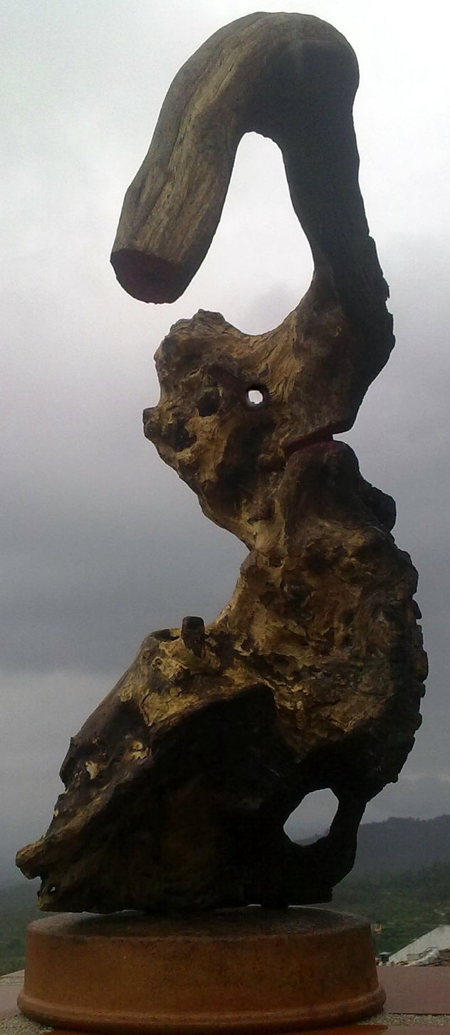 MAMUT/PAPUT ANTIDILUVIA 613/2011