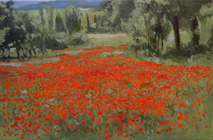 Campo de amapolas