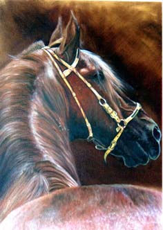 CABALLO JAMUNDI Oil Canvas Figure Painting