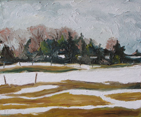 Half Snow Half Ground