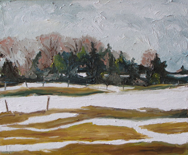 Half Snow Half Ground
