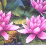 Particular thumbnail 1