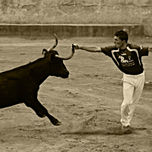 taurina thumbnail 1