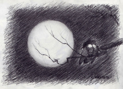 Night bird