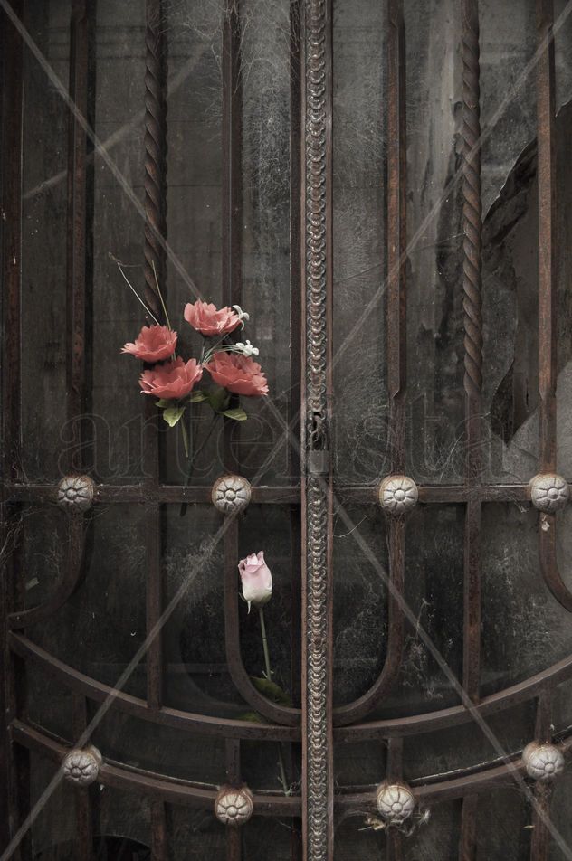 Flores en tu puerta
