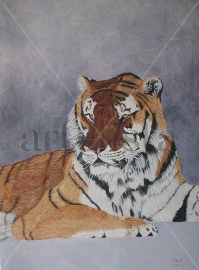 Tigre Oil Canvas Animals