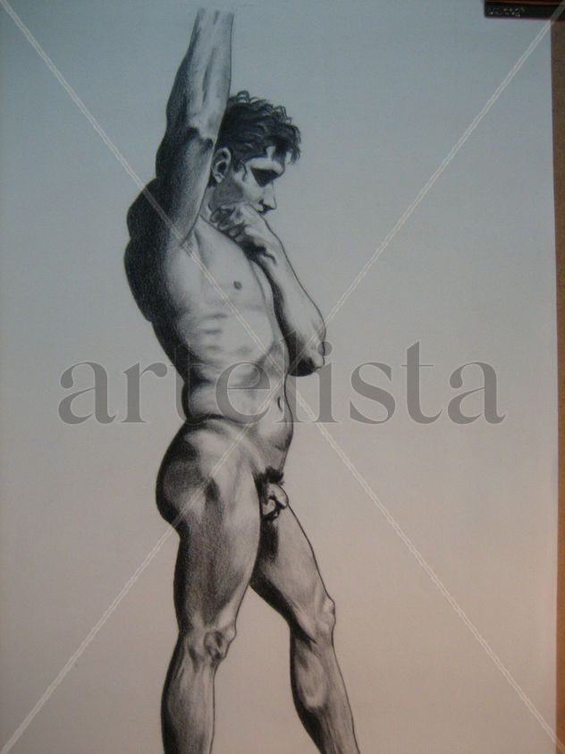 Anatomía masculina 1
