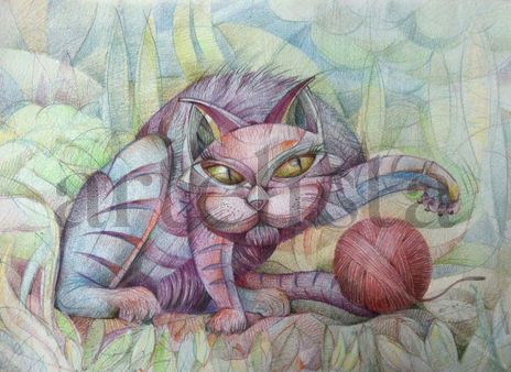 Gato