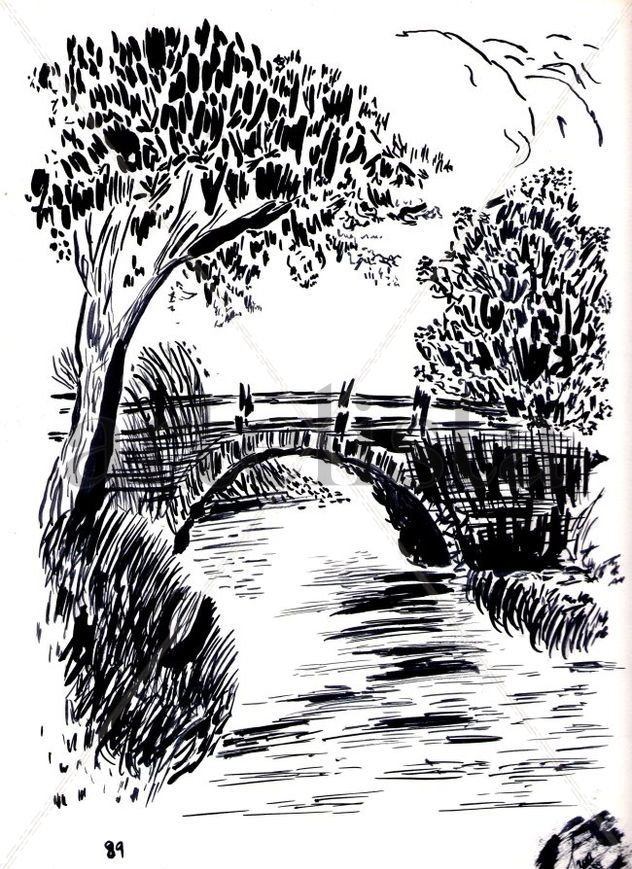 Puente sobre el rio campestre