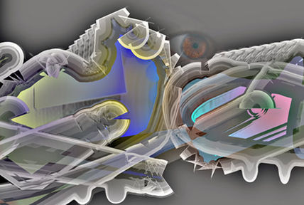 Eye