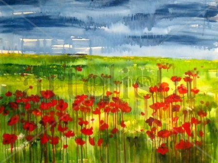 Amapolas V (Sereno), 2011
