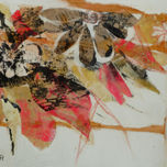 collages 2010 '11 thumbnail 1