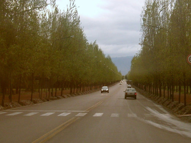 Caminos Nature Color (Digital)