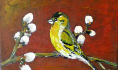 Fauna
