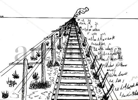 Via de Tren y Paisaje