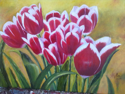 Tulipanes