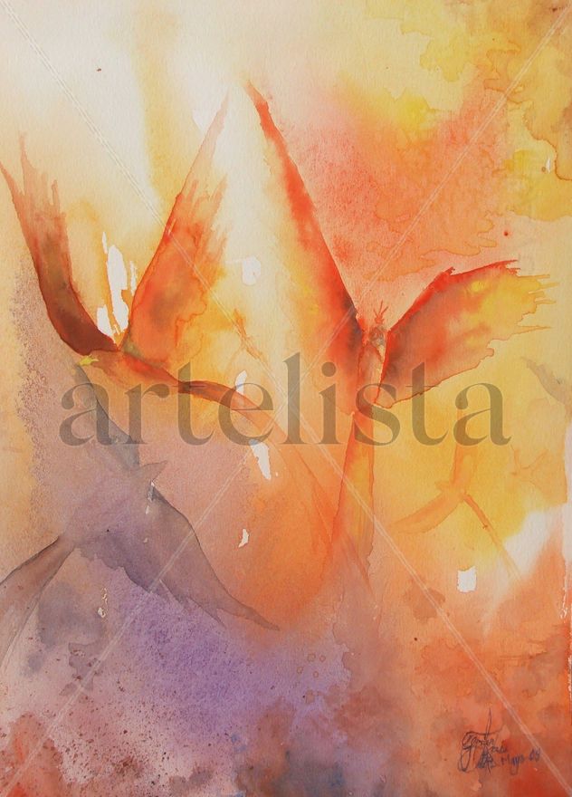"Aves de Fuego"