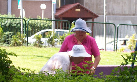 MINHAS FOTOS