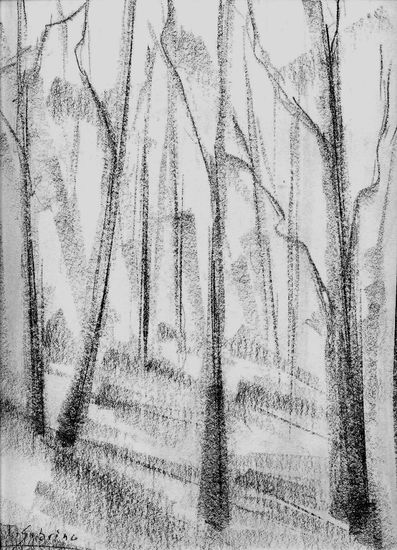 Árboles Charcoal