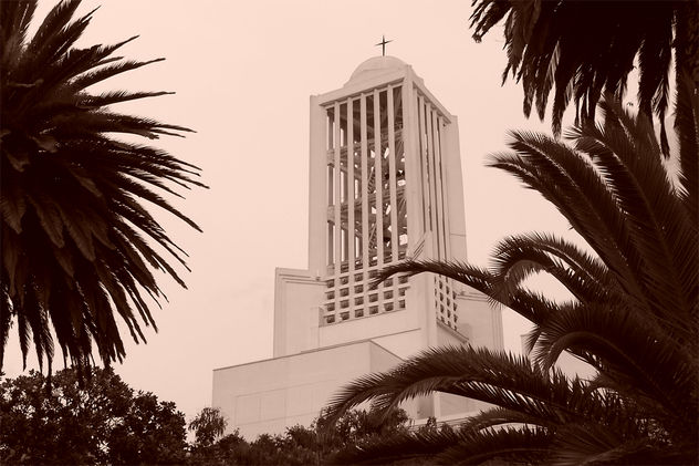 catedral en meio de arboles