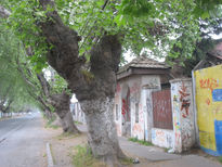 Calle vicuña...