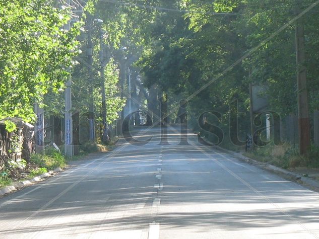 CAMINO A MALLARAUCO-PEÑAFLOR-CHILE 