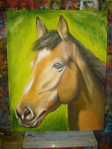 Caballo rostro