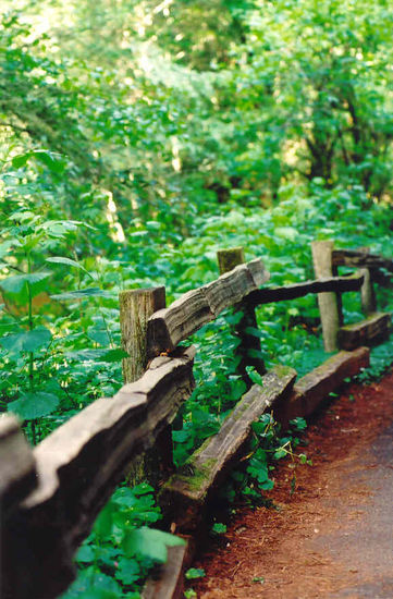 Frisco - Paseo en el parque Naturaleza Color (Química)