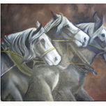 Animals thumbnail 1