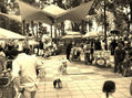 fotografia