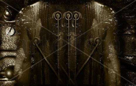 Seven Days Harmony