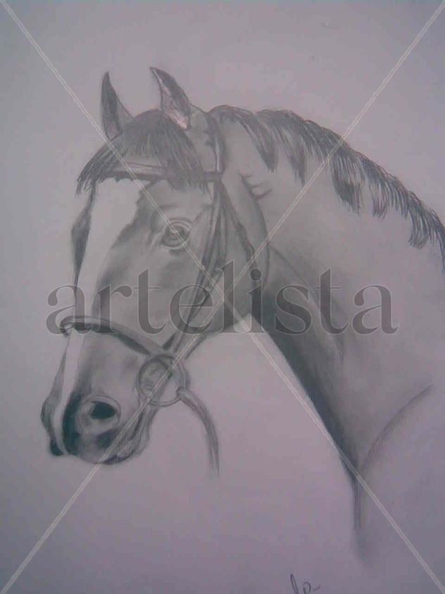 caballo