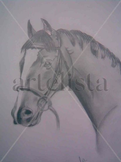 caballo Pencil