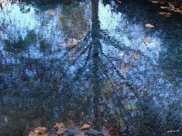 Abstracción de una mirada