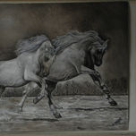ANIMALES thumbnail 1