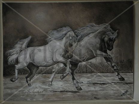 Caballos Pura raza