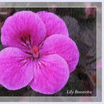 FLORES Y PINTURA MARINA thumbnail 1