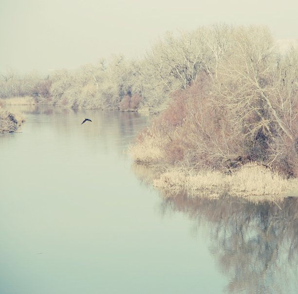 invierno