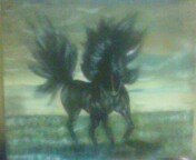 caballo Oil Canvas Animals