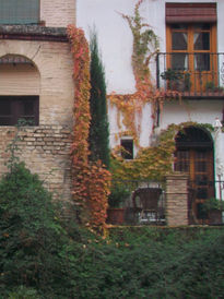 Balcones del albayzin