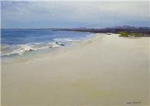 playa I
