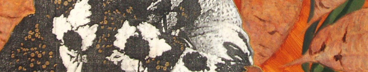 Imagen de portada